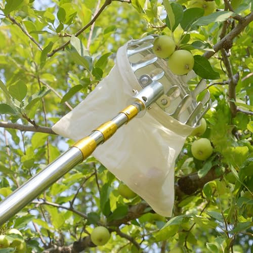 Obstpflücker mit Teleskopstiel Apfelpflücker aus Edelstahl Kirschenpflücker mit Beutel Obstsammler Diameter 15 cm Pflaumenpflücker Obstgreifer Einfach zu Montieren