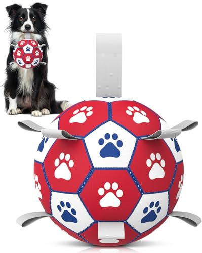 HETOO Dog Balls Dog Football Toys Dog Toy Ball (6 Inch Medium Red) | Durable high bounce floating dog balls, dog water toys, interactive dog ball indoor outdoor play, ideal dog birthday gifts