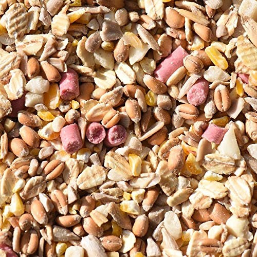 Leagrams Premium No Grow No Mess Wild Bird Seed Mix (12.55kg)