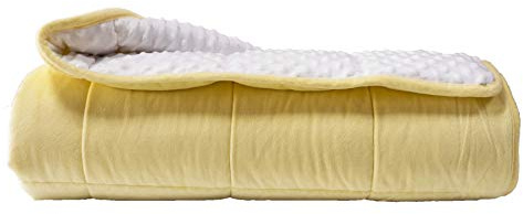 ALANSMA Reversible Weighted Blanket for All Season, Luxury Velvet, Warm and Cool, Adult 10Lb Yellow Weighted Blanket, Enjoy Sleeping Anywhere(Light Yellow,48x72 10lbs)