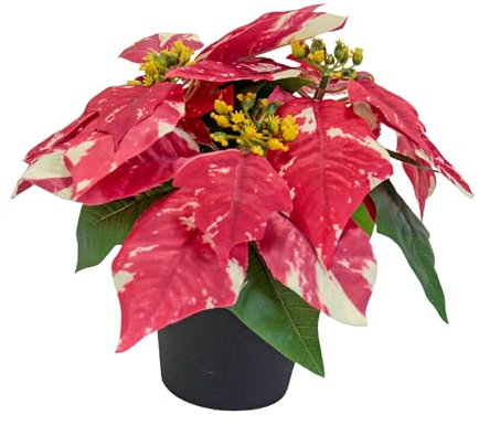 KESOTO Weihnachtssterne Aus, Dekoration für Die Feiertage, Tischornament, Geschenkidee, Kunstpflanzen Im Topf für Zuhause, Style A