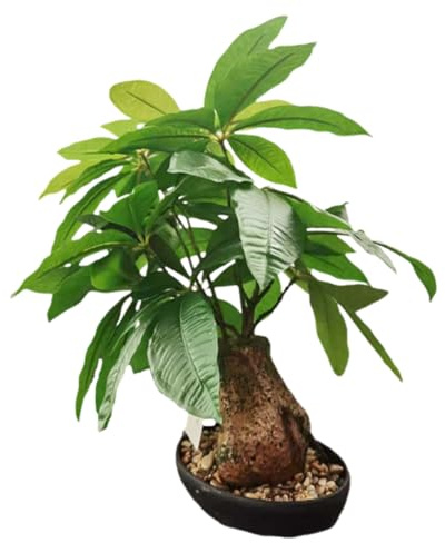 Milisten Bonsaï Artificiel Réaliste Faux Arbre Pot Plante Verte Décorative Bonsaï Végétal sans Entretien pour Intérieur Salon Bureau