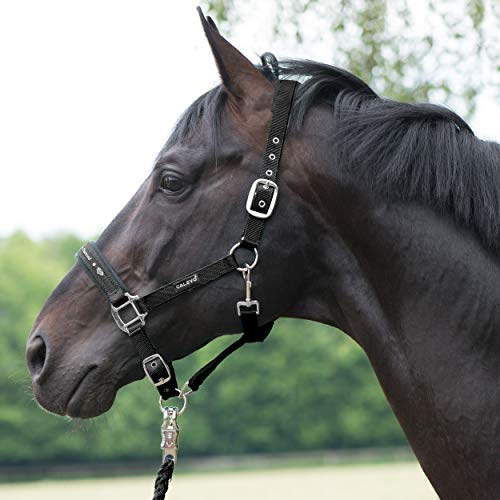CALEVO - Stallhalfter Classic Diamond