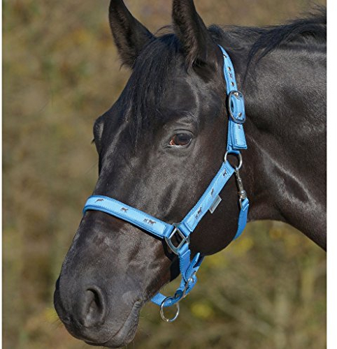 WALDHAUSEN Halfter Pferdchen, VB, blau