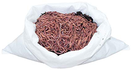 SUPERWURM - Compost vermi e lombrichi, 1 kg.