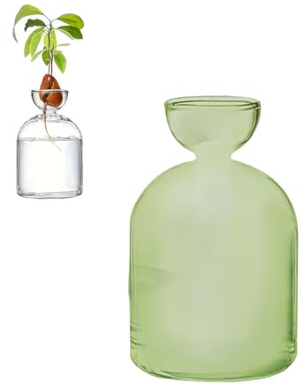 Colorful Avocado Seed Hydroponic Vase, Glass Avocado Sprout Planter Vase, Avocados Tree Propagation Container, Landscape Bottle for Water Plants Gardening Lovers Home Decor