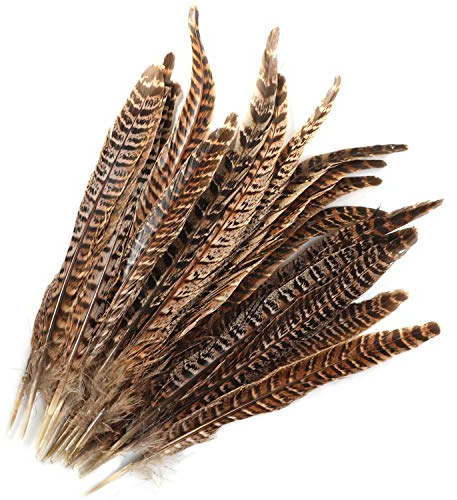 MWOOT 20 stück Fasan Federn, 25-30cm/ 10-12 Zoll Länge Fasan Schwanzfedern, Hutfeder, Natural Craft Feather
