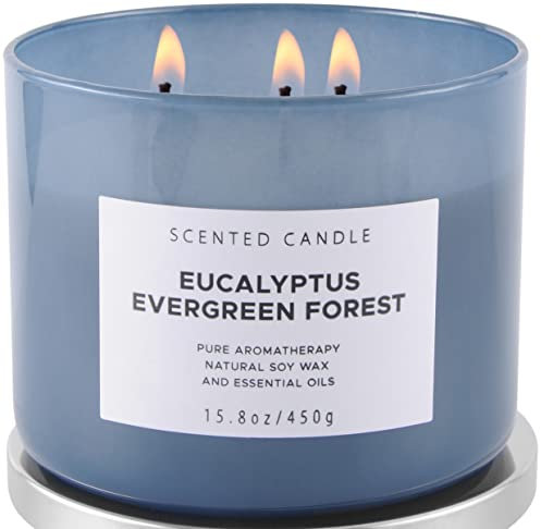 Eucalyptus Evergreen Forest 3-Wick Soy Candle | 15.8 oz Large Scented Candle for Home | Clean Burn Long Lasting | Balsam Fir Fresh Forest Scent | Gift Ready
