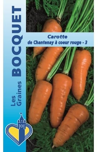 Sachet de graines de Carotte Chantenay à cœur rouge-3-7 g - légume racine - LES GRAINES BOCQUET