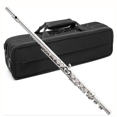 tvärflöjt instrument Flöjt nybörjarinstrument present