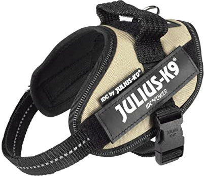 Julius K9 16IDC-BE-MM IDC-Powergeschirr mit Logofeld, mini earth