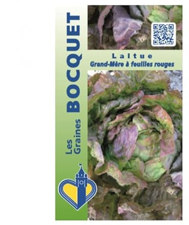 Sachet de graines de Laitue d'hiver Grand-mère à feuilles rouges - 2 g - légume feuille - LES GRAINES BOCQUET