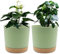 QCQHDU Lot de 2 Pots de Plantes 16.5cm, Pots pour Plantes d'intérieur avec Trous de Drainage et Base Amovible, Soucoupe décorative Moderne pour jardinières d'extérieur (Vert 16.5cm)