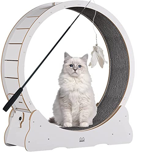 BCJMKDX Rueda para Gatos. Juguetes for Gatos, Rodillo for Mascotas, Estructura de Escalada Deportiva, Suministros for pequeñas y Medianas, Ejercicio en Interiores(White,XL)