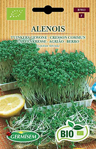 Germisem Bio Graines Cresson Commun ALENOIS