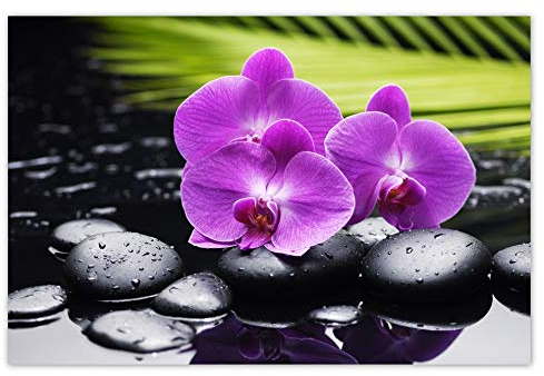 Wandsticker Dekosticker Orchidee auf Steinen, 93 x 62 cm, Nr. H907