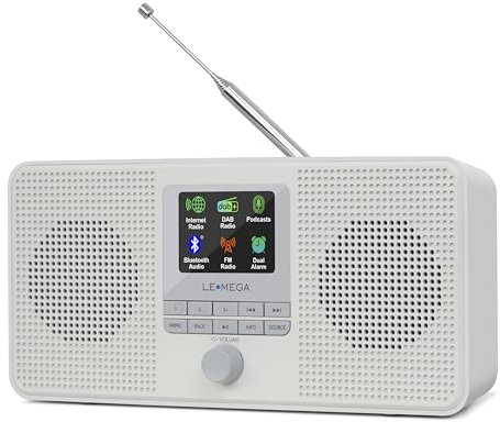 LEMEGA IR1 and IR4S Internet Radio (Gris Pierre, IR4S)