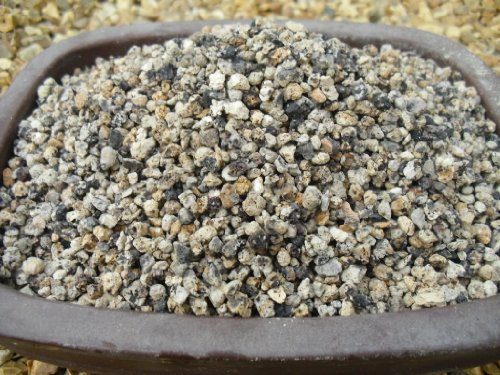 Kyodama Bonsai Soil 2 litres Medium Mixture for Growing & Repotting Bonsai Trees