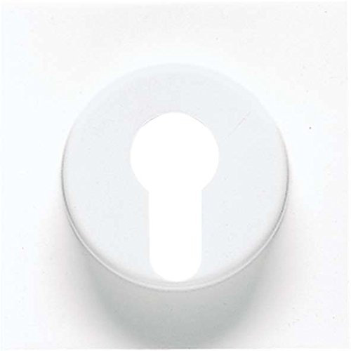 Jung LS928LG Abdeckung für Schlüsselschalter