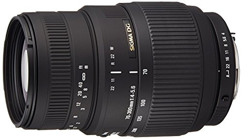 Sigma 70-300mm f4-5.6 Macro DG Lens For Pentax Digital & Film SLR Cameras