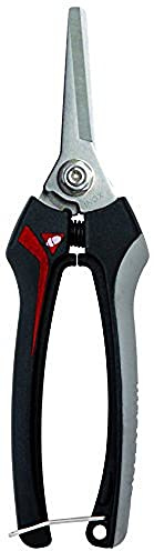 Bellota 3621-C - Tijera recolectora de hoja alargada con punta redondeada para recolección de uva, fruta y verdura. 186 mm. 82gr.