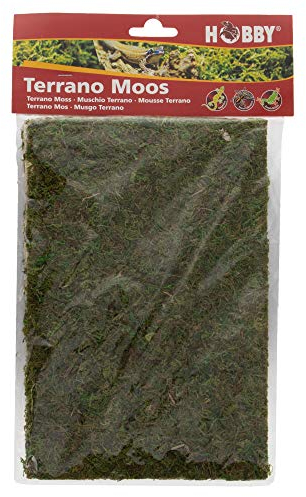 Hobby Terraristik Terrano Moos I 100g I Moos für Terrarien I 100% natürlich und ohne künstliche Farbstoffe I Moos zur Erhöhung der Luftfeuchtigkeit I Terrarienmoos für Reptilien und Amphibien