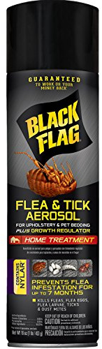Black Flag Flea & Tick Killer for Upholstery & Pet Bedding Aerosol, 16-Ounce, 12-Pack