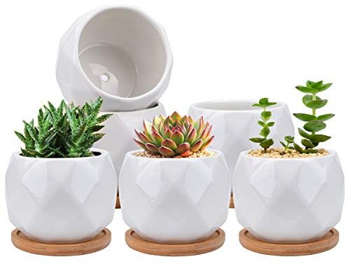Jucoan 6 Pack Ceramic Succulent Planter Pot with Bamboo Tray, 10 cm Small White Diamond Shaped Cactus Herb Flowers Planter with Drainage Hole