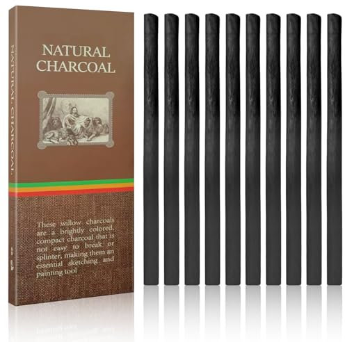 YHTCC 10PCS Charcoal Sticks, 3-5mm Black Willow Charcoal, Drawing Tools Charcoal Pencils for Artists Students and Hobbyists