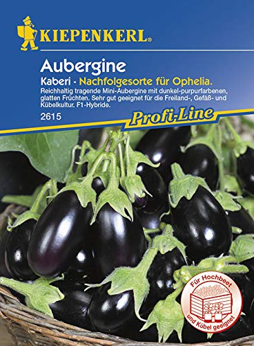Aubergine Kaberi | Auberginensamen von Kiepenkerl