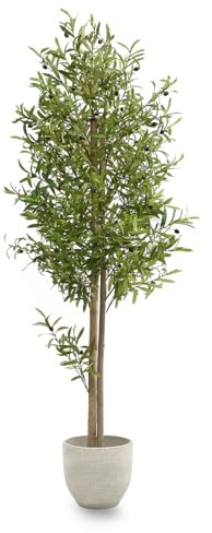 MAIA SHOP Olivo Artificial 180 cm con Tronco Natural y Aceitunas Decorativas, Planta Artificial Realista de Gran Altura para Decoración Mediterránea de Hogar, Oficina, Hotel o Eventos