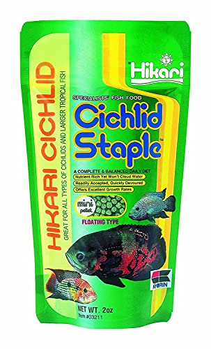 Hikari Cichlid Staple Mini Pellet 250g [Misc.]