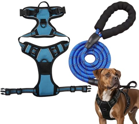Imbracatura per cani con corda da traino, imbracatura anti-tiraggio, per cani di piccola taglia media e grande, anti-treno, corda di sicurezza, controllo senza tirare, regolabile (blu pavone, XL)