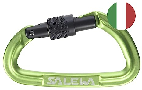 Salewa Hot G3 Screw Carabiner, Grün