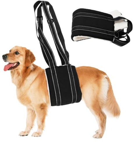 Umllpet Aide au transport réglable pour chien - Aide au transport souple - Aide à la marche réglable pour chien en différentes tailles - Support de sécurité pour handicapés, blessés ou chiens âgés