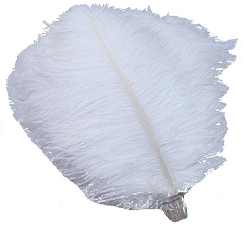 Sowder 50pcs Natural 8-10inch(20-25cm) Ostrich Feathers Home Wedding Decoration(White)