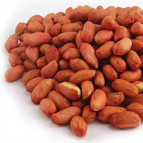 GardenersDream Whole Peanuts for Wild Birds (12.5kg) - Premium Quality Fresh Bird Food, Aflatoxin-Free Bird Nuts - High Protein, Energy-Rich Feed - Nutritious Vitamins & Essential Oils