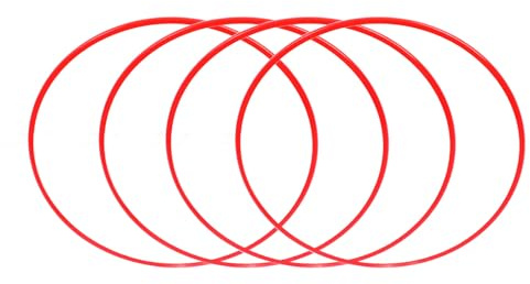 FELGENSCHUTZ AUS ALUMINIUMLEGIERUNG 19 ZOLL ROTER DEKORATIVER RING FÜR AUTONABE