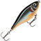 X-Rap TWITCHIN SHAD 08 HLW, Halloween