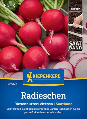 Kiepenkerl Radieschensamen Riesenbutter/Vitessa 1046440 - Große, mild-würzige Knollen, ideal zum Naschen, Gemüsesamen im praktischen Saatband