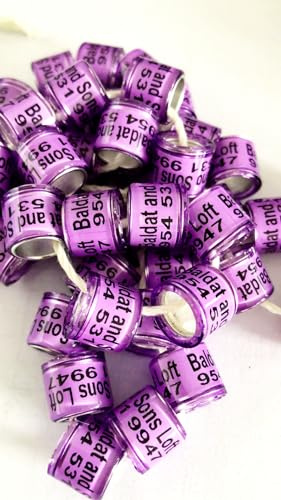 F-P 100 Pieces Customized Bands Racing Pigeon Ring Band Birds Leg Ring (10mm, Green)