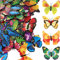COHEALI 100 Stücke Schmetterling Brosche Anstecknadel Schmetterling Geschenke Schmetterling Dekor Kunststoff Brosche Schmetterling Gastgeschenke