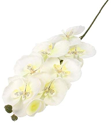 Yalulu 2 Stück Orchidee Künstliche Simulation Schmetterling Orchideen Blüte Blumen Hochzeit Haus Partei Home Deko (Weiß)