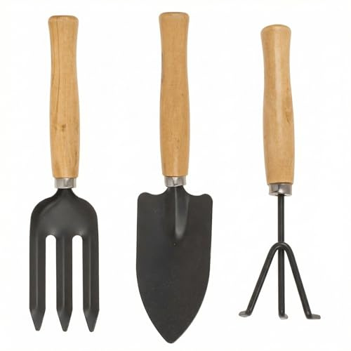 MIJOMA Set di 3 piccoli elettrodomestici da giardino, 25 cm, pala, forca e rastrello, per pentole, balconi e aiuole rialzate, manici in legno con metallo anodizzato