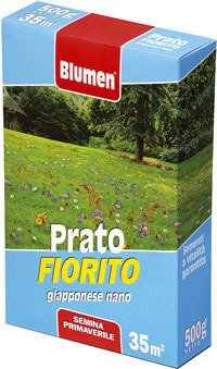 BLUMEN SEMI PRATO FIORITO GIAPPONESE NANO CONFEZIONE DA 500GR