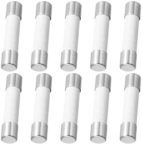 QUARKZMAN 10-pack keramisk säkring 25A, trög finsäkring 5 x 20 mm glassäkring 250 V för lampor, elektronik