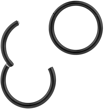 365 SLEEPERS 2 delar rostfritt stål 16G unisex gångjärnsbågesegment Läpp Nosring Helix Tragus Septum Sleeper Örhängen 6mm - 16mm