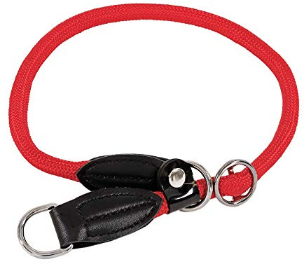 lionto Hundehalsband aus strapazierfähigem Nylon für Hundetraining, Länge 50 cm, 1 cm Dicke, Zugstopp Halsband für Hunde, Lederimitat mit Metallring & Anpassung durch stufenlosen Schieber, rot