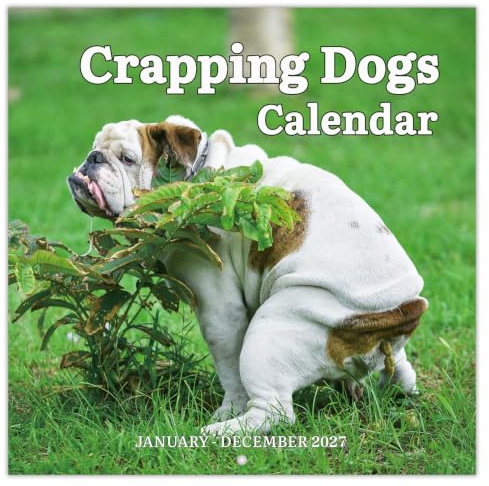 2027 Wall Calendar – 12 Monthly Pooping Dogs Calendar 2027, Jan 2027 - Dec 2027, Funny Dog Calendar Gag Gifts, 11.8 x 23.6 (Open), 11.8 x 11.8(Closed), Perfect White Elephant Gift Funny