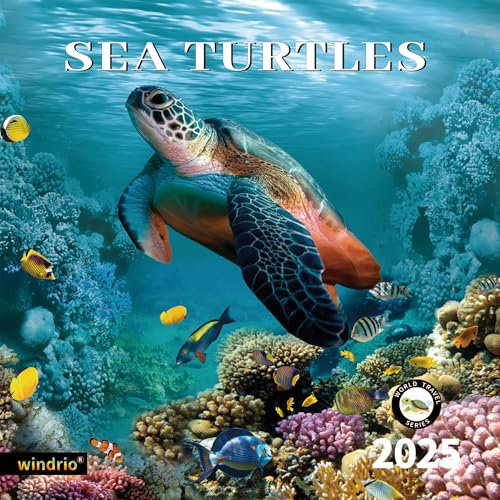 2025 Wall Calendar,Calendar 2025, January 2025 - December 2025, Wall Calendar Sea Turtles, 12 x 24 Opened,Full Page Months Thick & Sturdy Paper for Gift Perfect Calendar Organizing & Planning